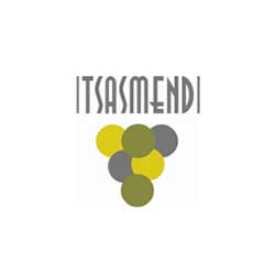 Itsasmendi