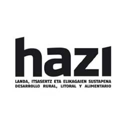 Hazi